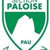 Logo of the association DAUPHINS SECTION PALOISE